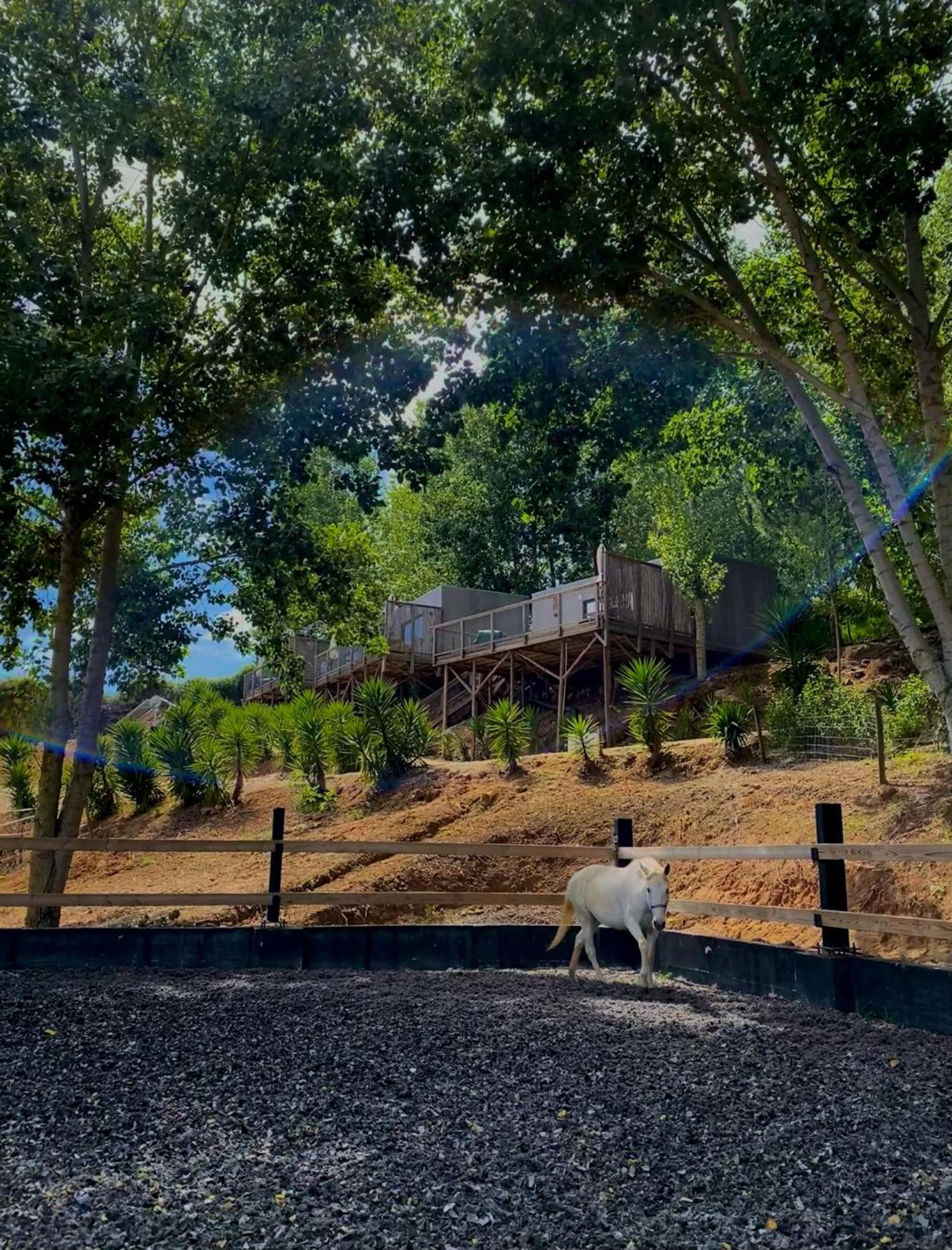 Equinatura - Silver Coast Caldas Da Rainha Ngoại thất bức ảnh